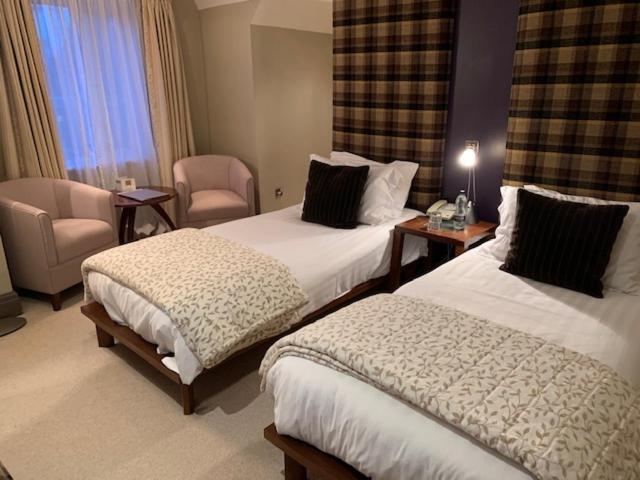 Guest house Forest 4*